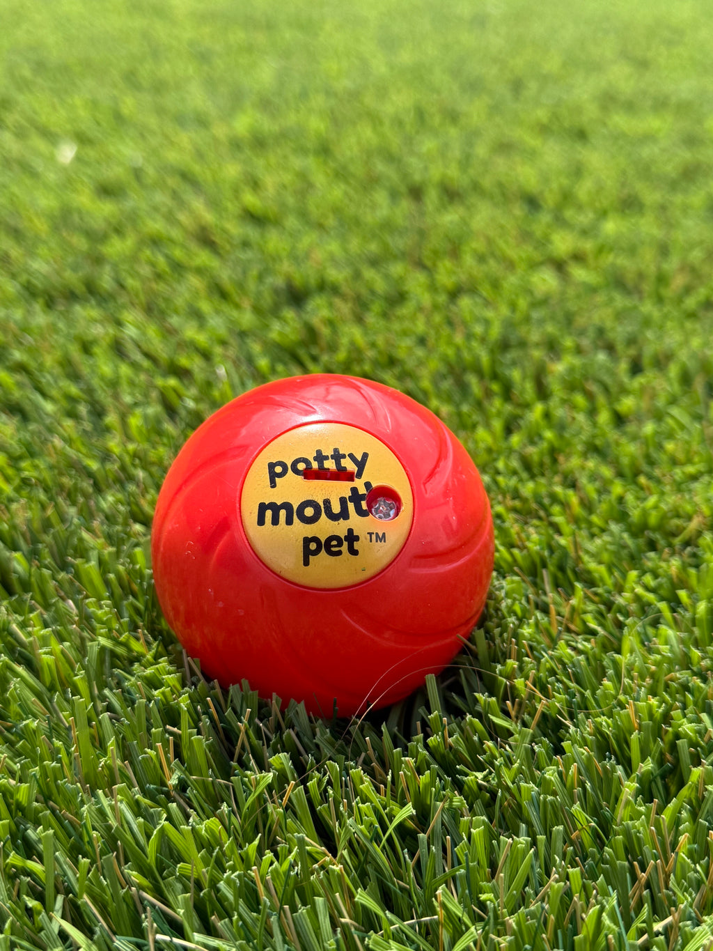 Potty Mouth Pet Cussing Dog Ball