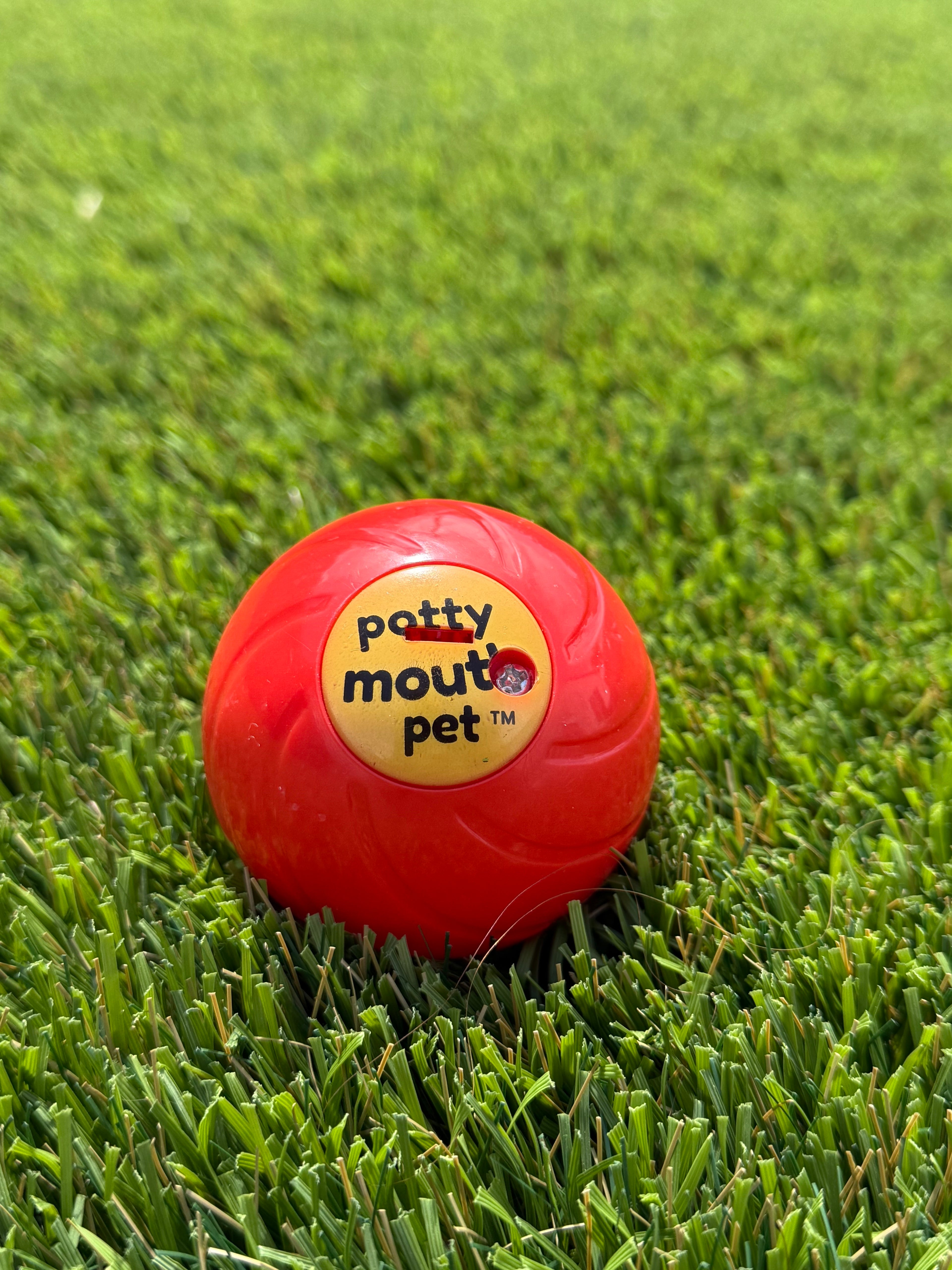 Potty Mouth Pet Cussing Dog Ball